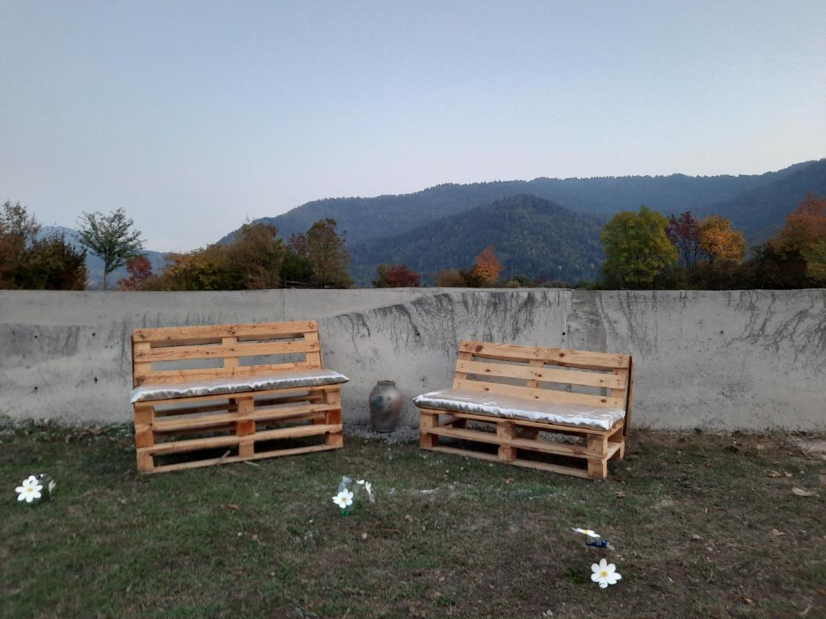 Kesi'S House Villa Borjomi Bagian luar foto